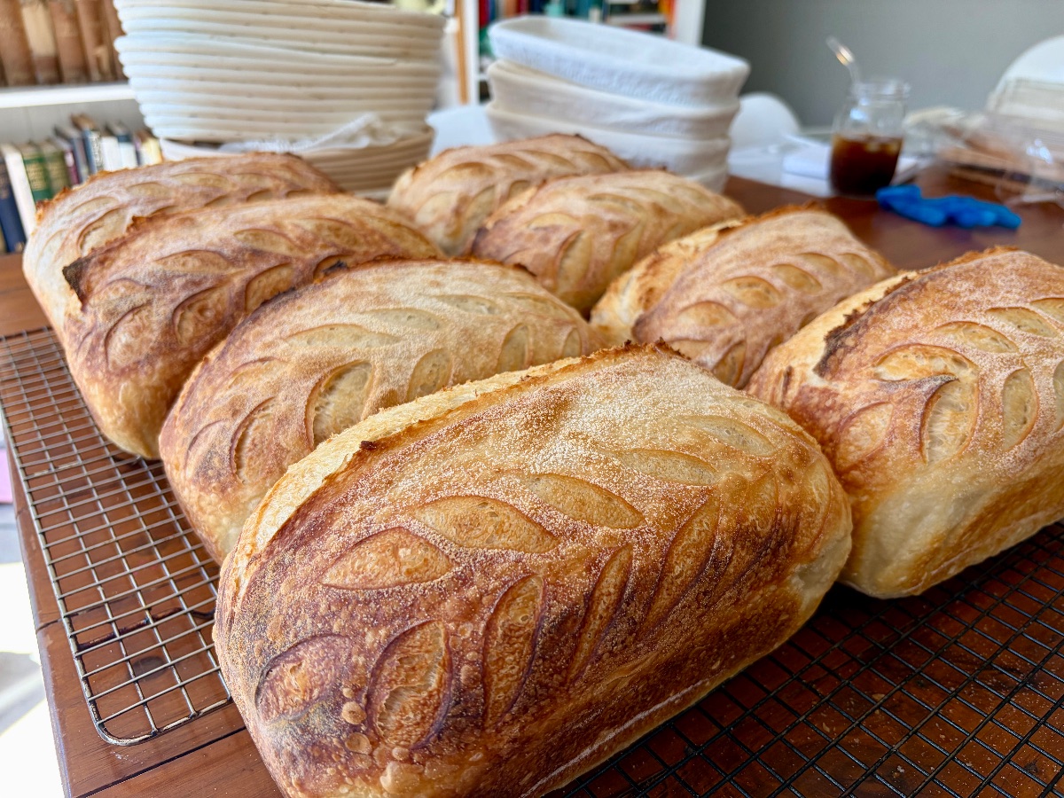 Plain Sourdough, fresh from Brooke's kitchen