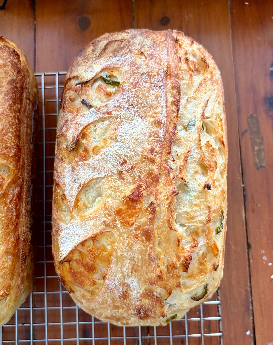 Jalapeño & Cheddar Sourdough, fresh from Brooke's kitchen