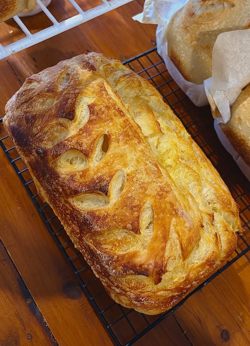 Plain Croissant Sourdough, fresh from Brooke's kitchen